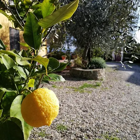 Appartamento Il Pintello