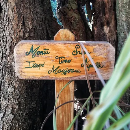 Appartamento Il Pintello *