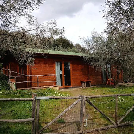 Il Pintello * San Casciano in Val di Pesa