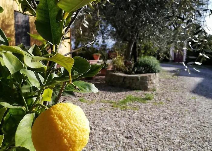 Διαμέρισμα Il Pintello