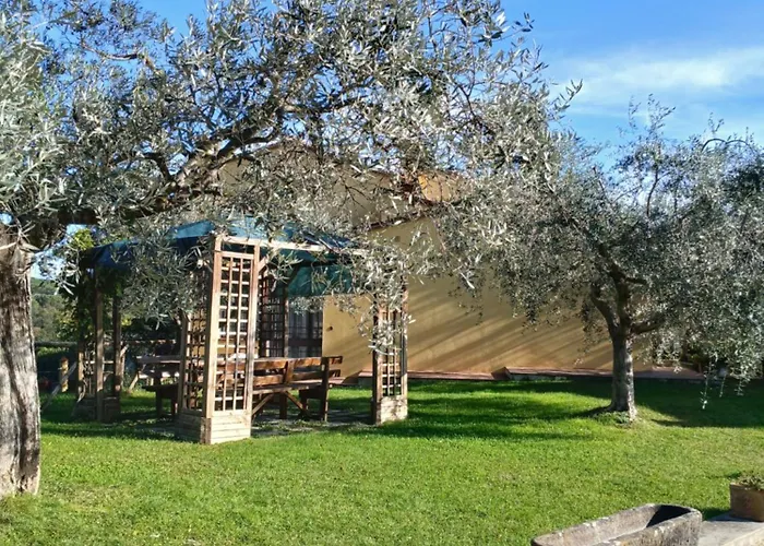 Il Pintello * San Casciano in Val di Pesa