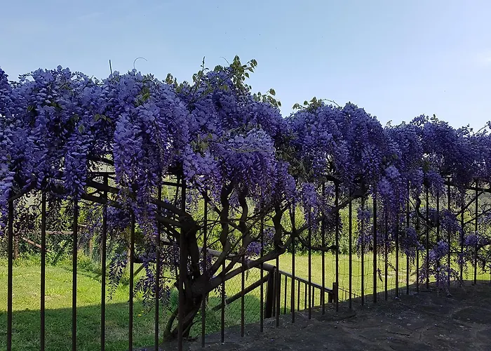 Διαμέρισμα Il Pintello San Casciano in Val di Pesa