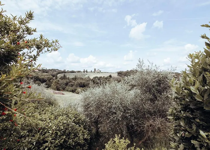 Il Pintello Διαμέρισμα